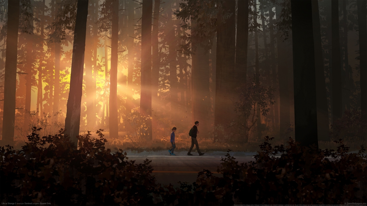 《Life is Strange 2》3840x2160游戏壁纸4k