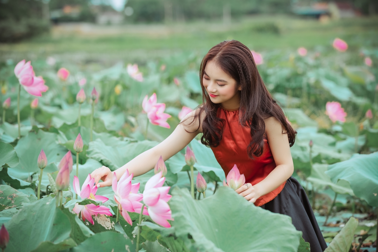 荷花 可爱美丽美女5k壁纸