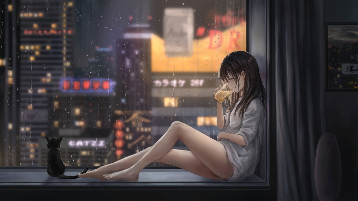 女孩喝啤酒 飘窗 城市夜景 雨天 猫 好看唯美4k动漫壁纸